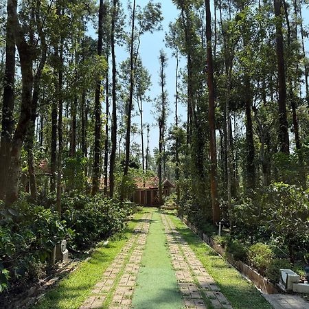 Coffee Grove Resort จิกมากาลูร์ ภายนอก รูปภาพ