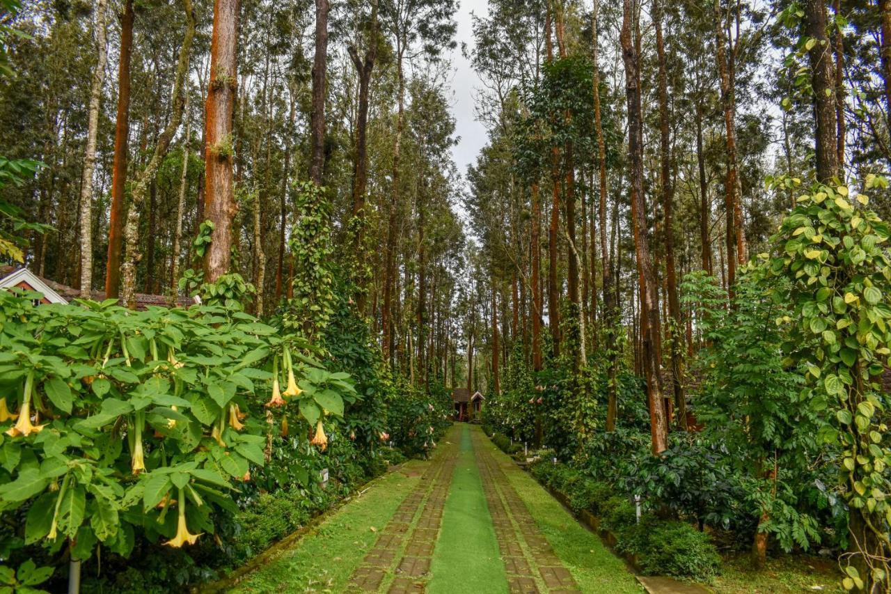 Coffee Grove Resort จิกมากาลูร์ ภายนอก รูปภาพ