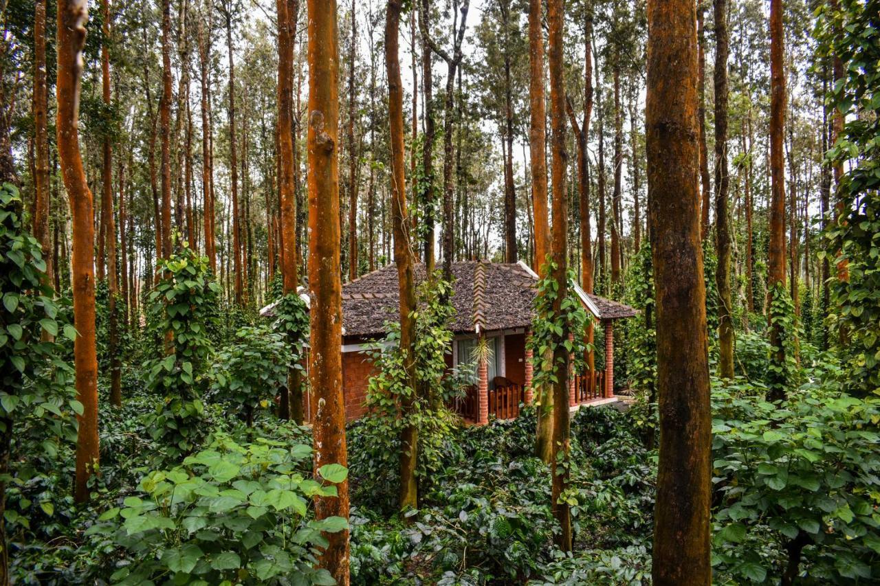 Coffee Grove Resort จิกมากาลูร์ ภายนอก รูปภาพ