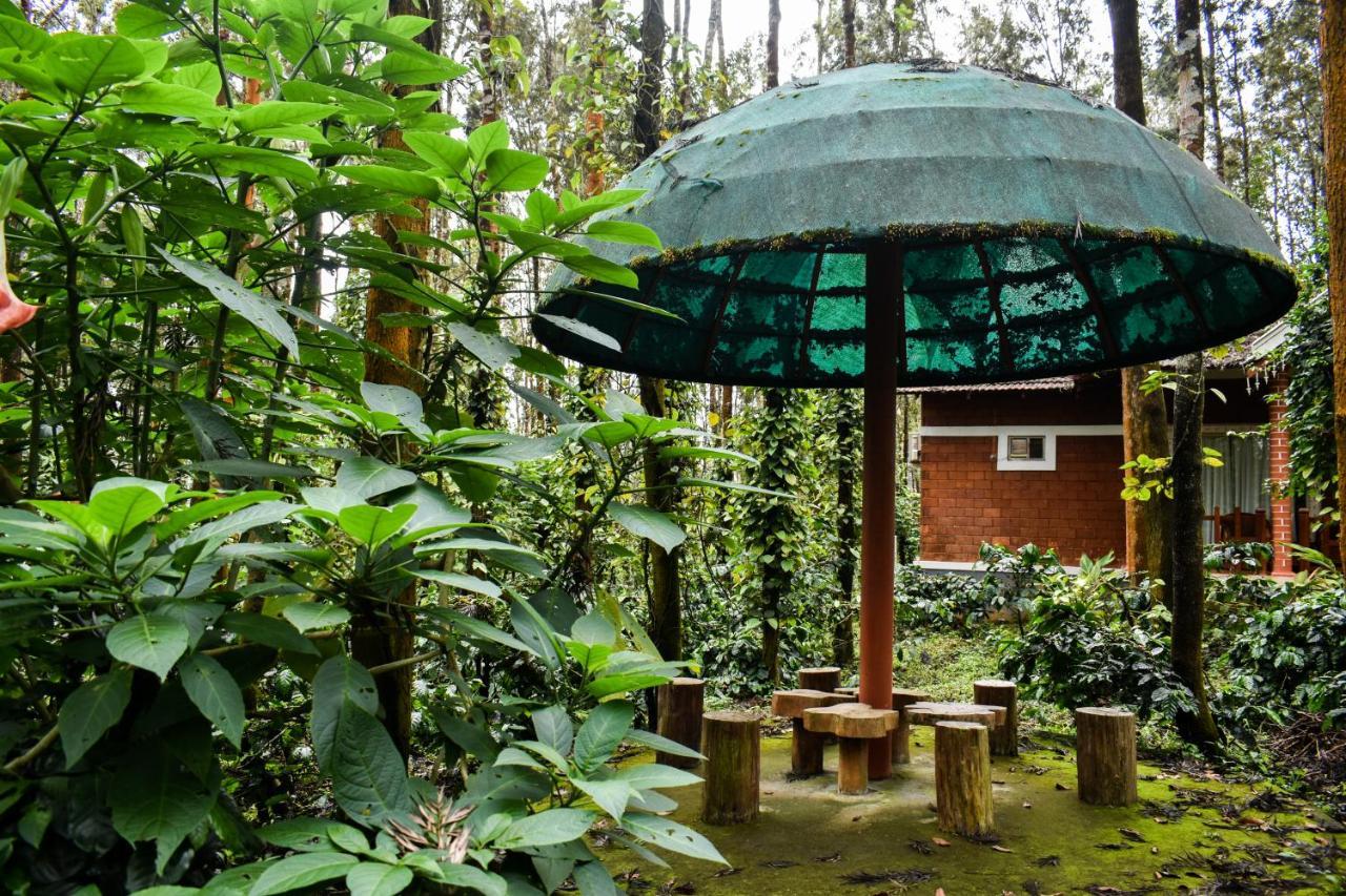 Coffee Grove Resort จิกมากาลูร์ ภายนอก รูปภาพ