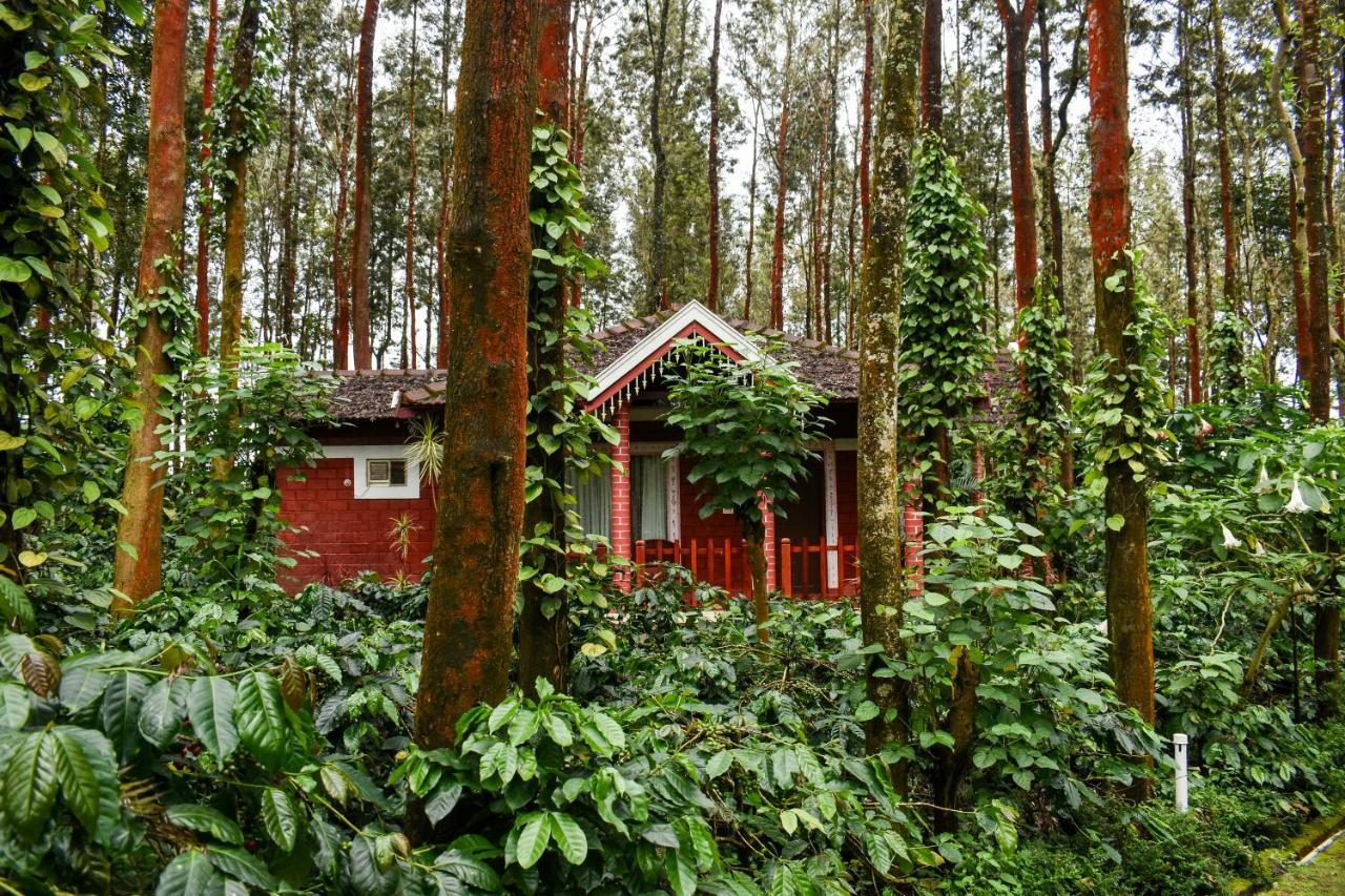 Coffee Grove Resort จิกมากาลูร์ ภายนอก รูปภาพ
