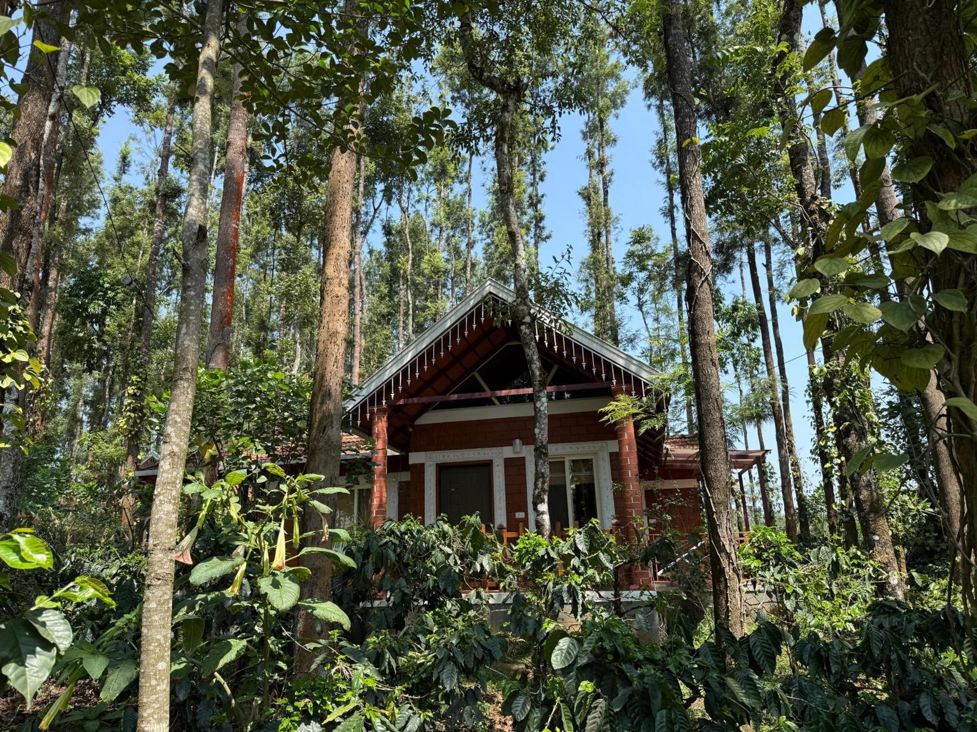 Coffee Grove Resort จิกมากาลูร์ ภายนอก รูปภาพ
