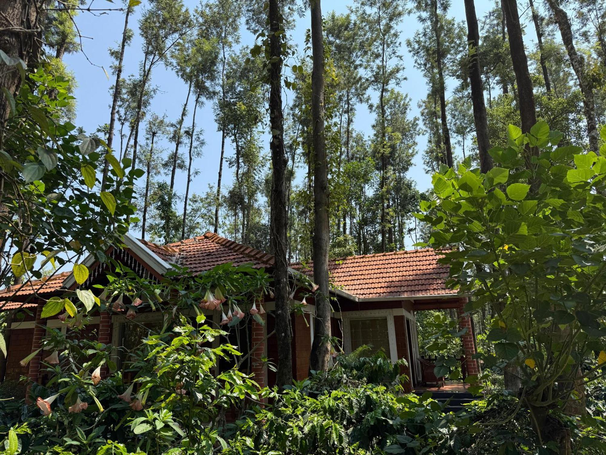 Coffee Grove Resort จิกมากาลูร์ ภายนอก รูปภาพ