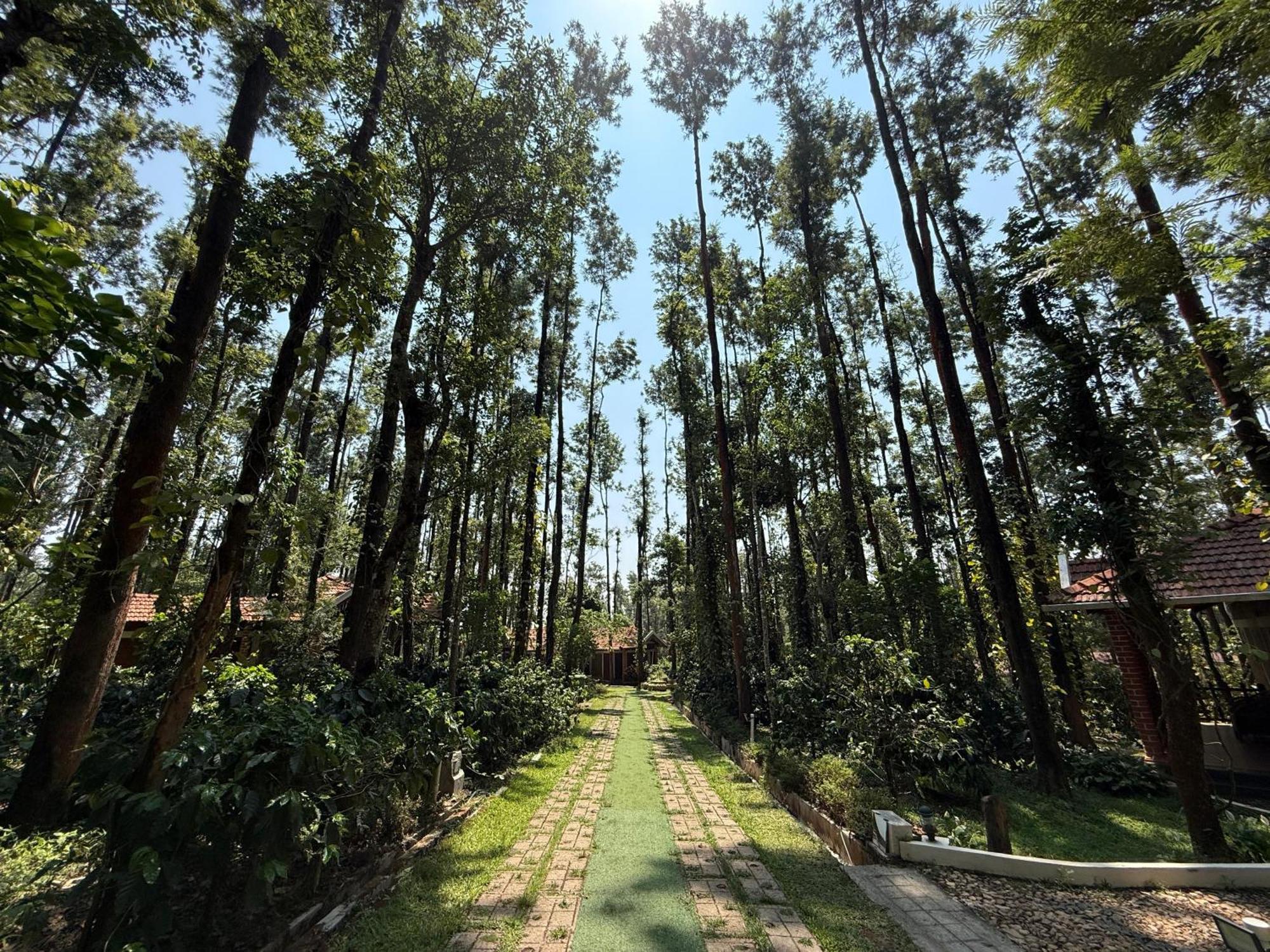 Coffee Grove Resort จิกมากาลูร์ ภายนอก รูปภาพ