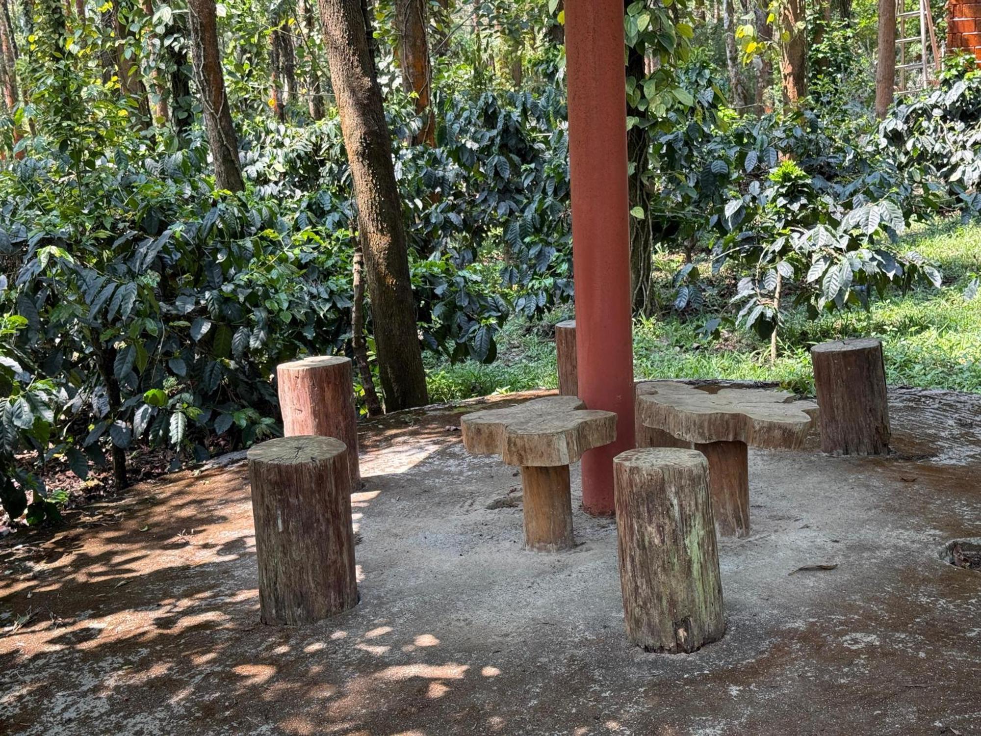 Coffee Grove Resort จิกมากาลูร์ ภายนอก รูปภาพ