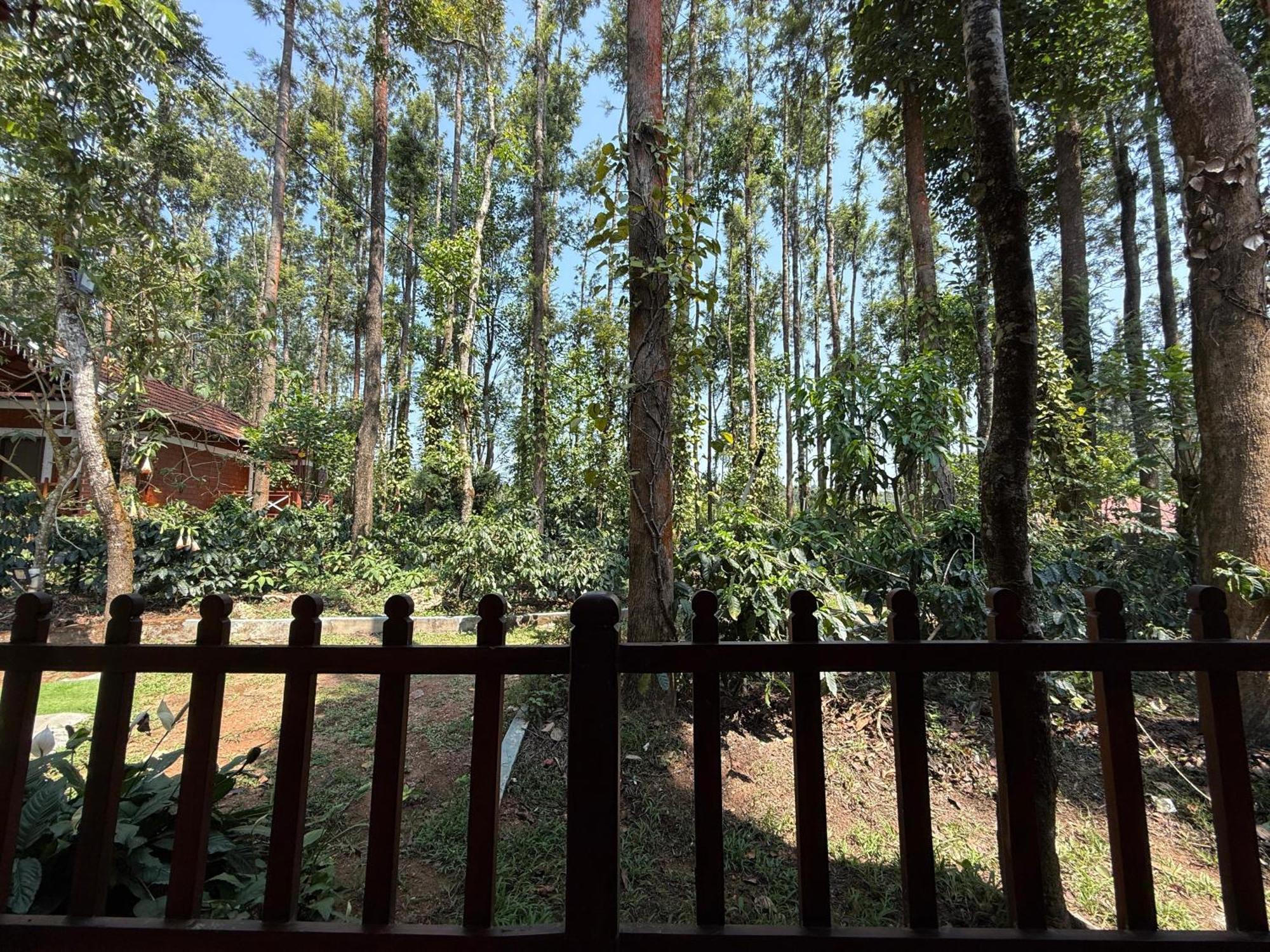 Coffee Grove Resort จิกมากาลูร์ ภายนอก รูปภาพ