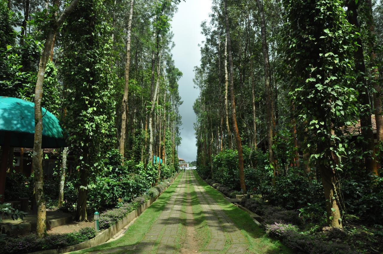 Coffee Grove Resort จิกมากาลูร์ ภายนอก รูปภาพ